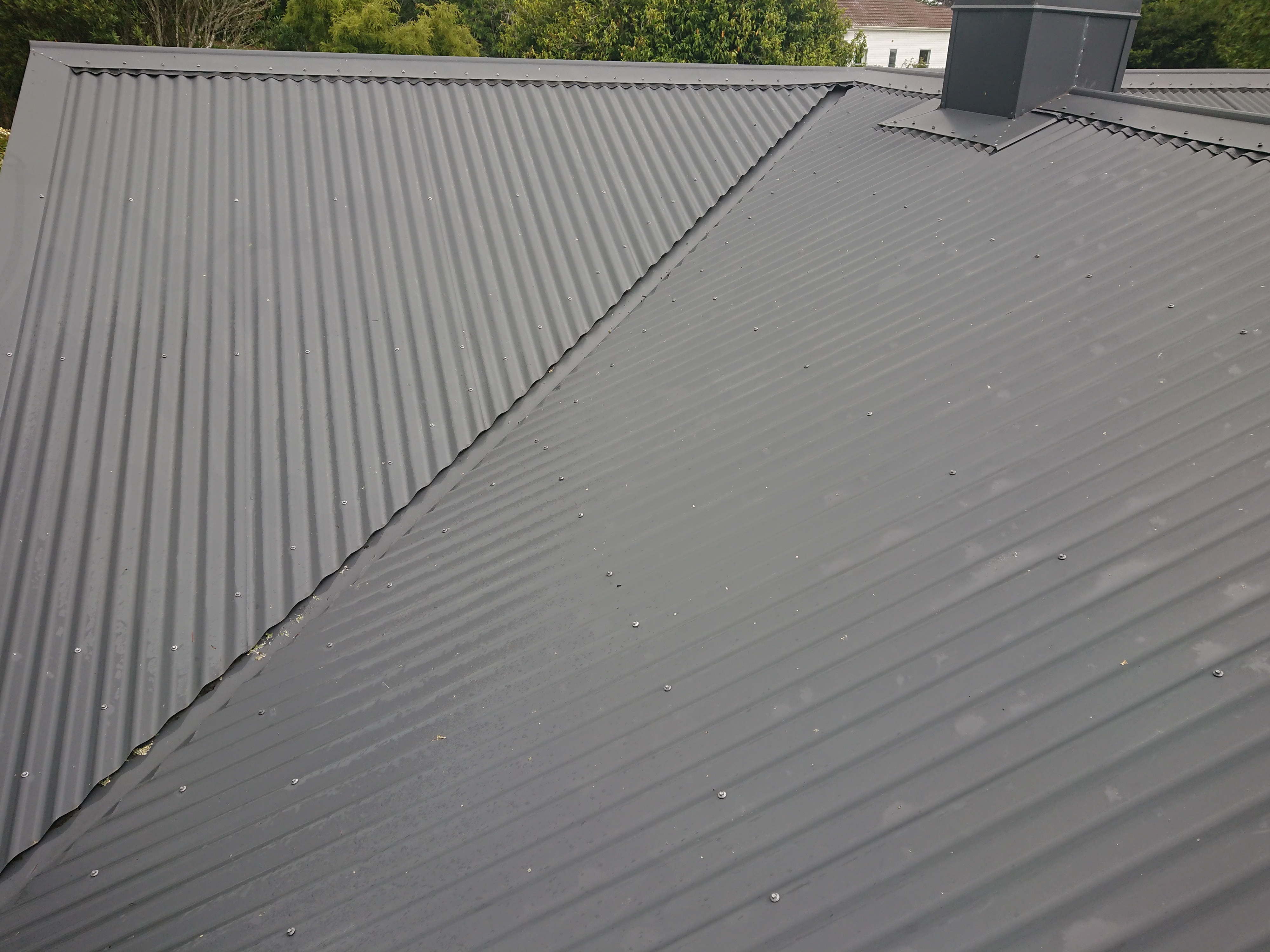 Roof cleaning